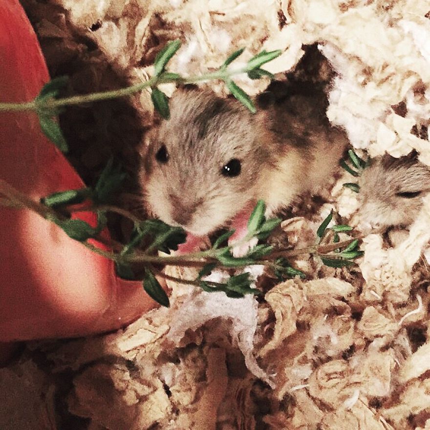 Harley.. Can You Find Quinn?!