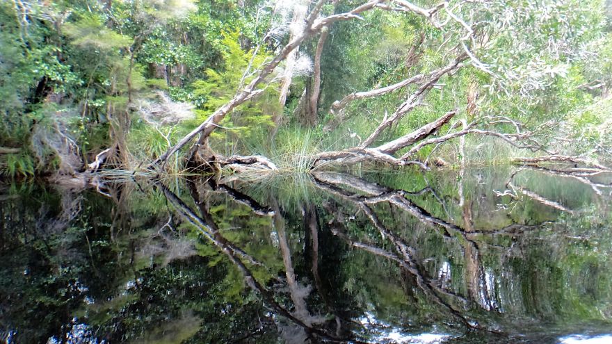 Noosa Everglades, Australia