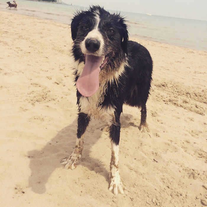 Happy At The Beach!