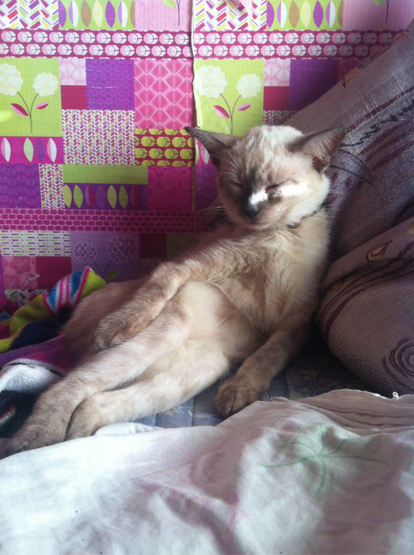 Lemme Think About It First.