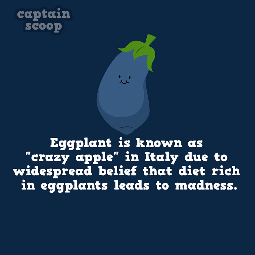 Illustration of an eggplant with a fun fact about vegetables and a playful design on a dark background.