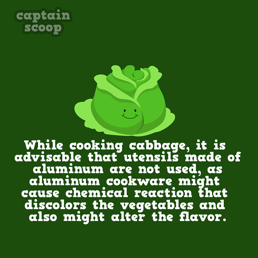 Illustration of cabbage with a fact about cooking vegetables and avoiding aluminum utensils to prevent discoloration and flavor change.