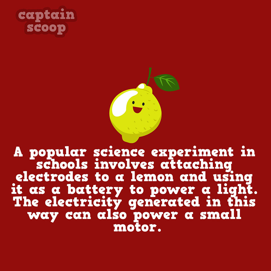Illustration of a happy lemon with a leaf and a science fact about generating electricity from vegetables.
