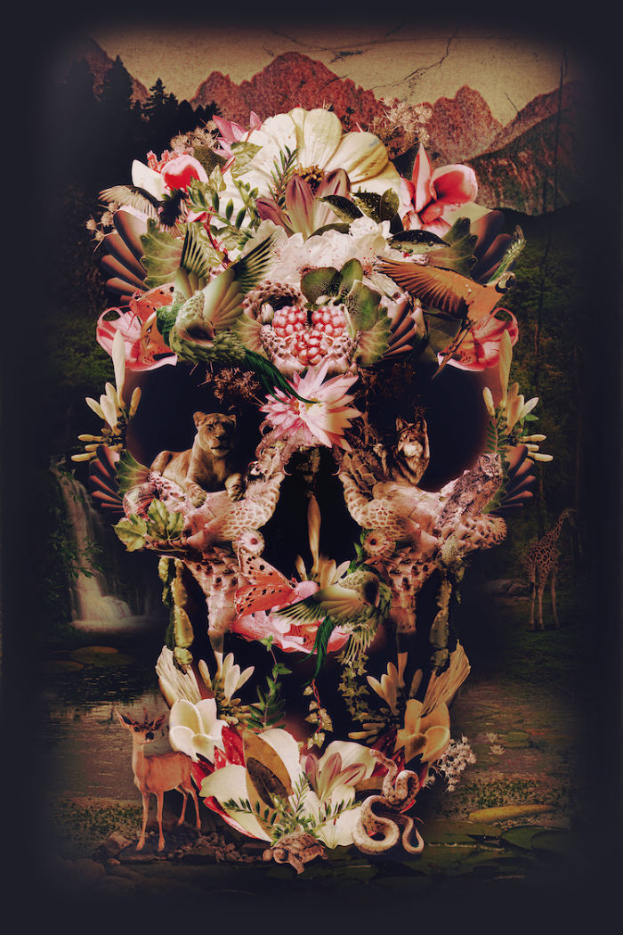 The Message: Yes, I Have A Thing For Skulls