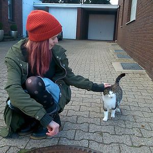 flyingtoastbread avatar