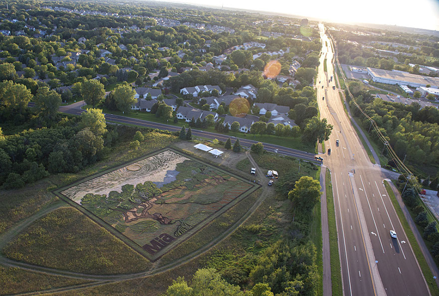 land-art-painting-field-van-gogh-olive-trees-stan-herd-10
