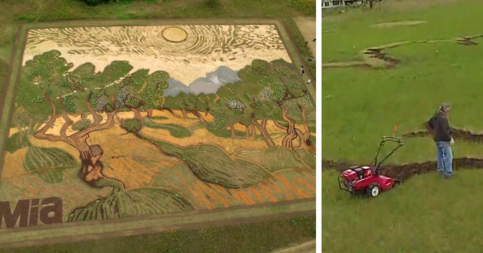 Artist Plants 1.2-Acre Field To Recreate Van Gogh’s 1889 Painting ‘Olive Trees’
