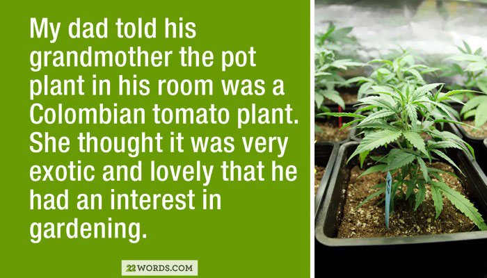 Lies Parents Tell Their Kids