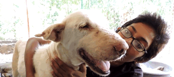 mange-sick-dog-rescue-animal-aid-unlimited-gif-3 mange-sick-dog-rescue-animal-aid-unlimited-gif-3