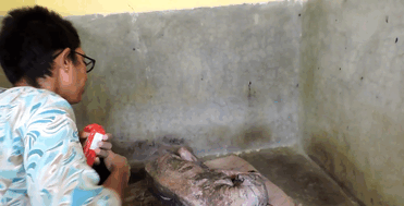 mange-sick-dog-rescue-animal-aid-unlimited-gif-5 mange-sick-dog-rescue-animal-aid-unlimited-gif-5