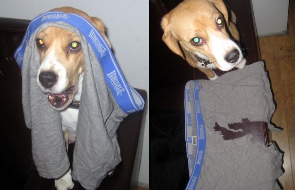 I Made You A Mini-skirt!