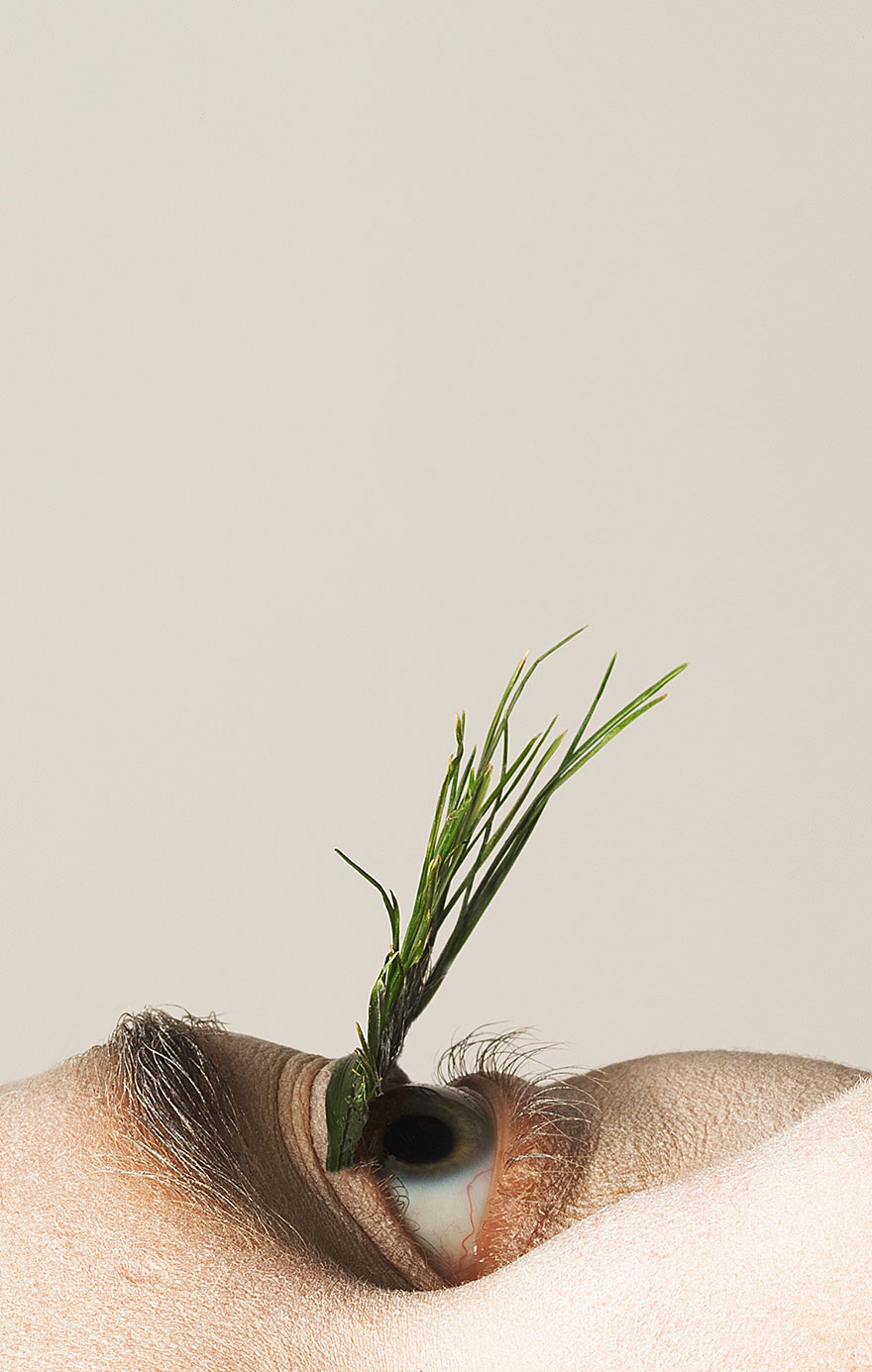 natural-eyelashes-foliage-mary-graham-3 natural-eyelashes-foliage-mary-graham-3