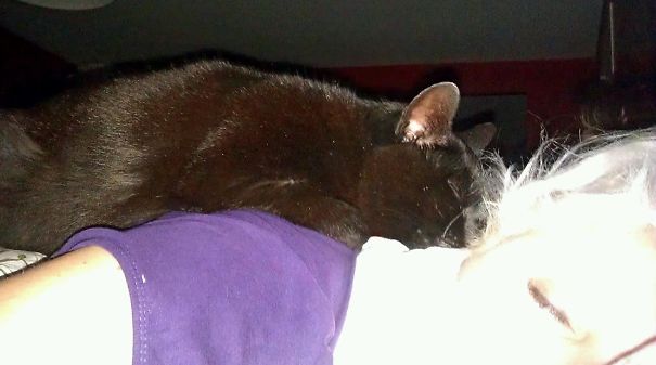 Napping Together Is Double The Fun!