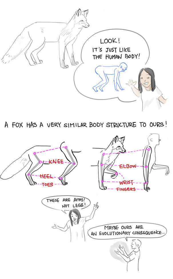 I Document My Daily Struggles Of Learning To Draw I Document My Daily Struggles Of Learning To Draw