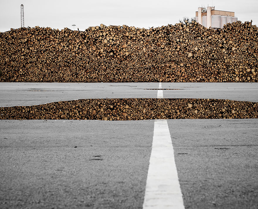 A Pile Of Timber Reflecting In A Puddle