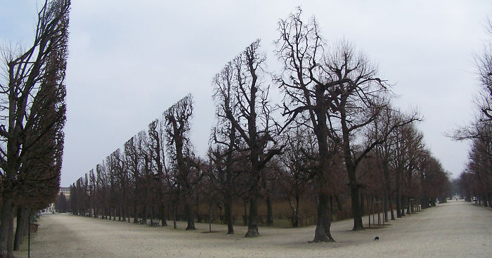 70 Mind-Bending Photos That Seem Fake But Are Actually Real