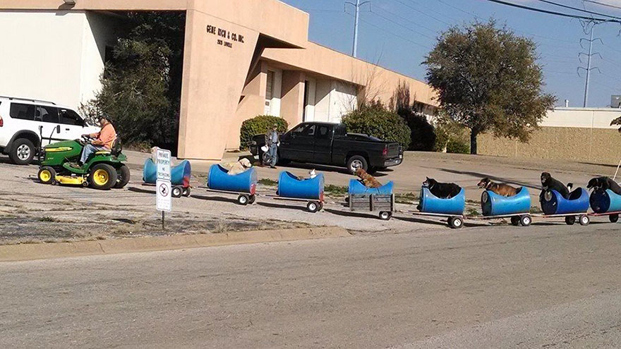 rescued-dog-train-tractor-stray-eugene-bostick-5 rescued-dog-train-tractor-stray-eugene-bostick-5