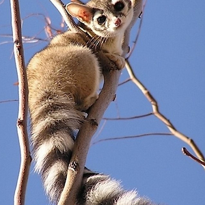 astrid_smith123 avatar