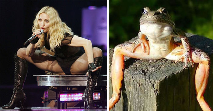 70 Things That Are Hilariously Similar To Each Other (Part 4)