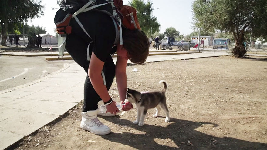 syrian-refugee-aslan-puppy-rose-500-km-greece-lesbos-1