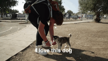 syrian-refugee-aslan-puppy-rose-500-km-greece-lesbos-gif-1