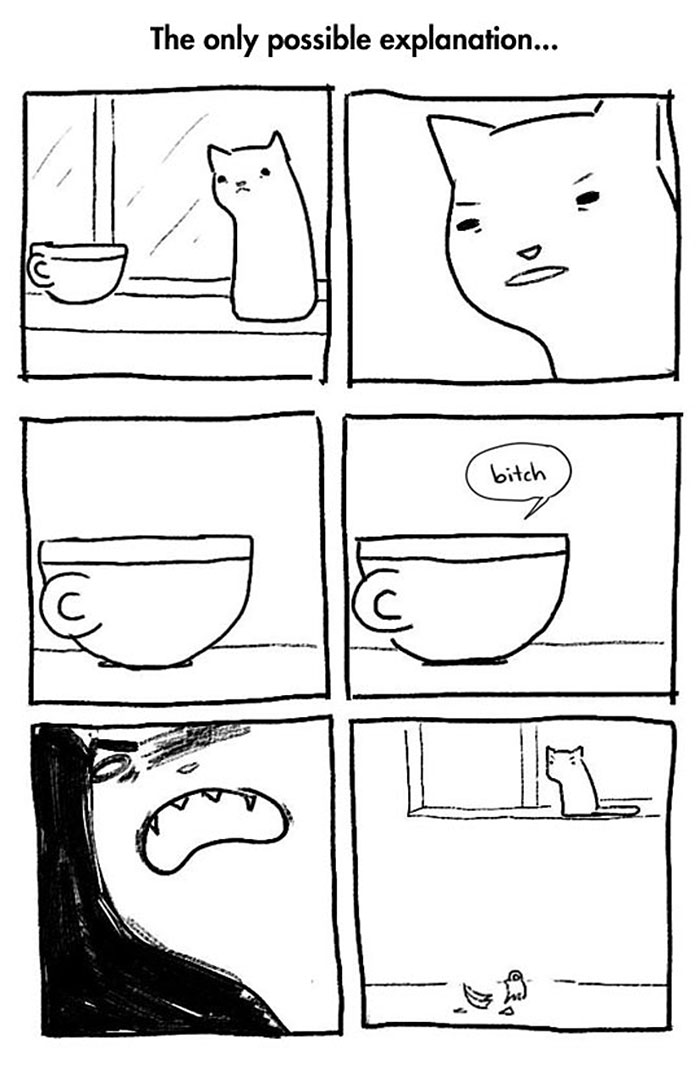 The Reality Of Owning A Cat