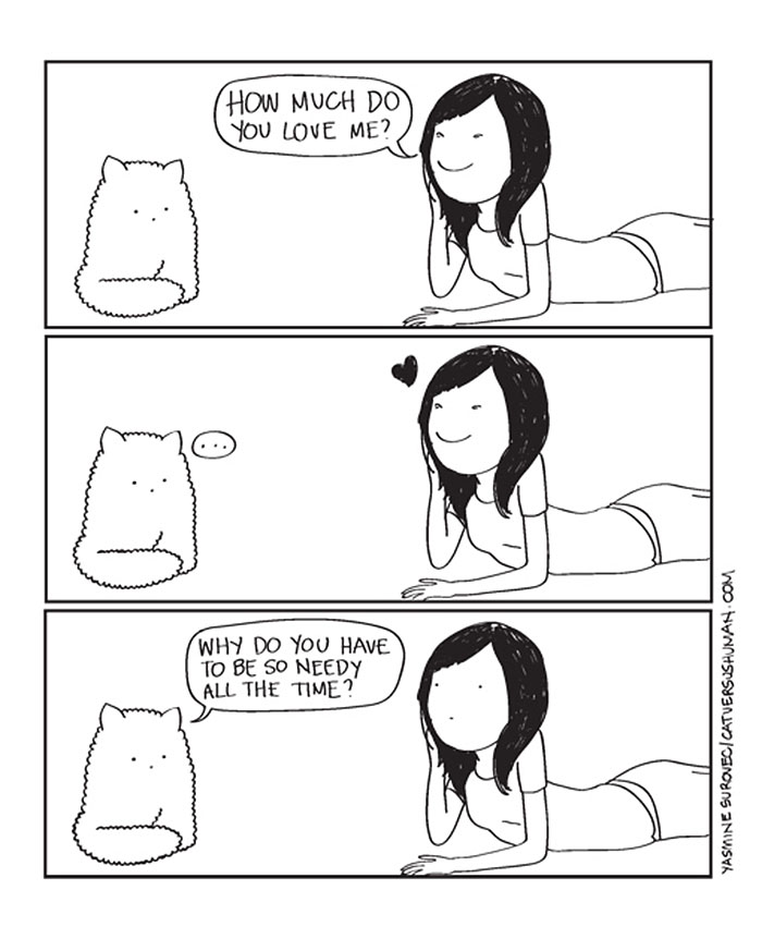 The Reality Of Owning A Cat