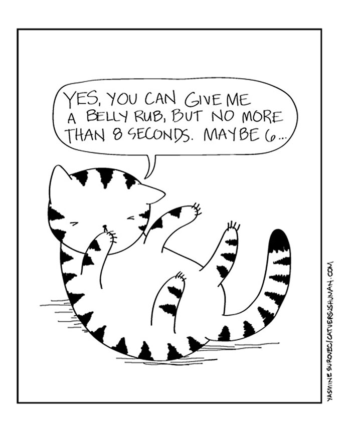 The Reality Of Owning A Cat