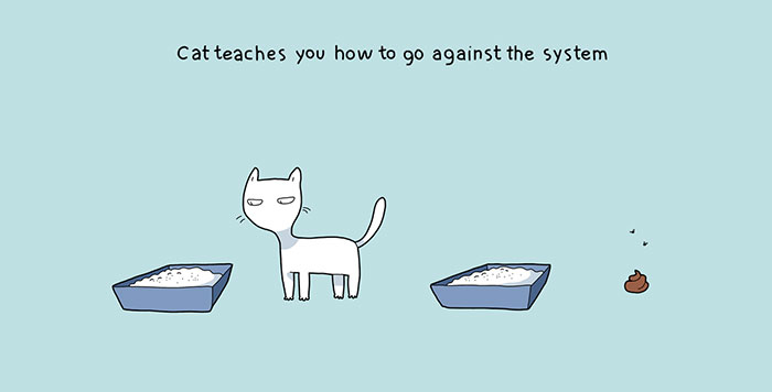 The Reality Of Owning A Cat