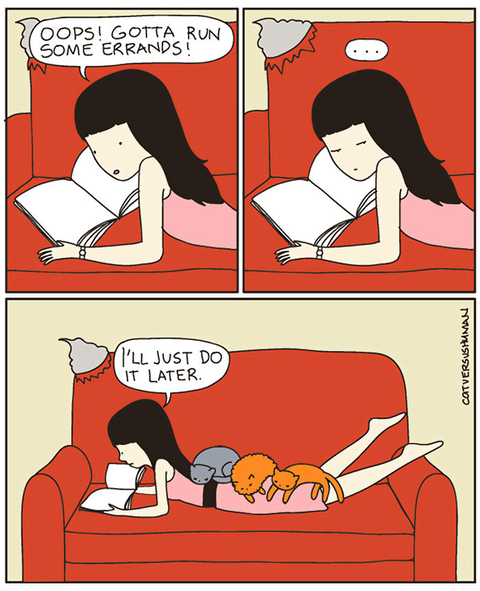 The Reality Of Owning A Cat