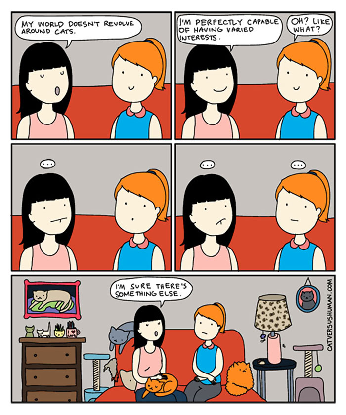 The Reality Of Owning A Cat