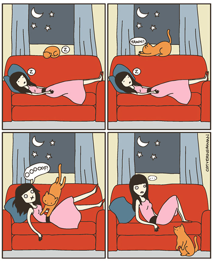 The Reality Of Owning A Cat