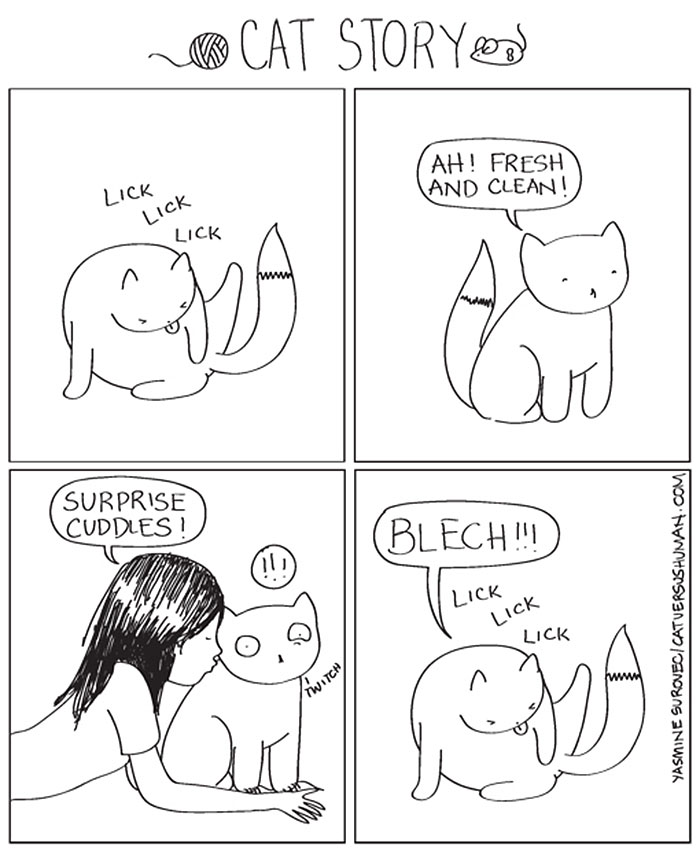 The Reality Of Owning A Cat