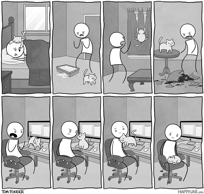 The Reality Of Owning A Cat