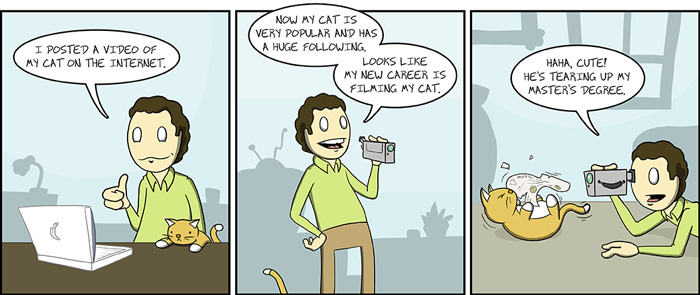 The Reality Of Owning A Cat