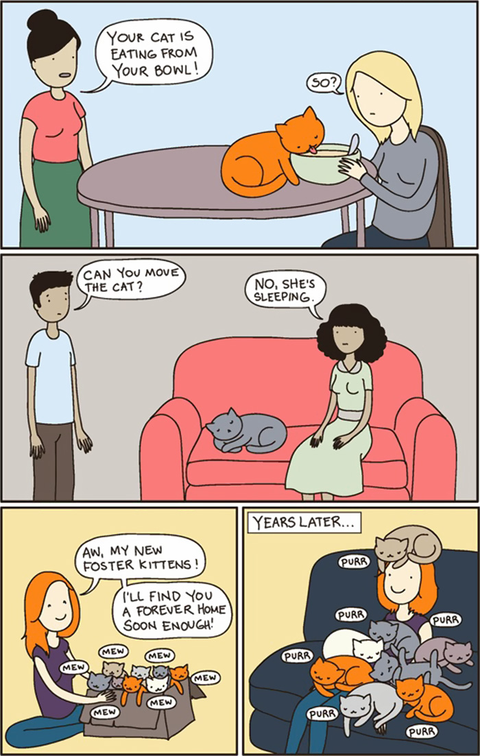 The Reality Of Owning A Cat