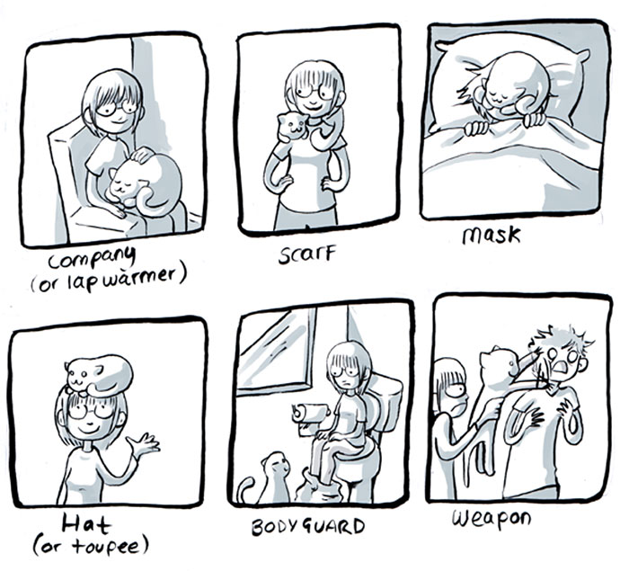 The Reality Of Owning A Cat