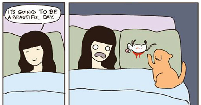58 Funny Comics Reveal The Reality Of Owning A Cat