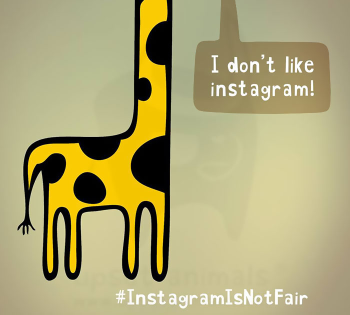 16 Upset Animals And Their Problems