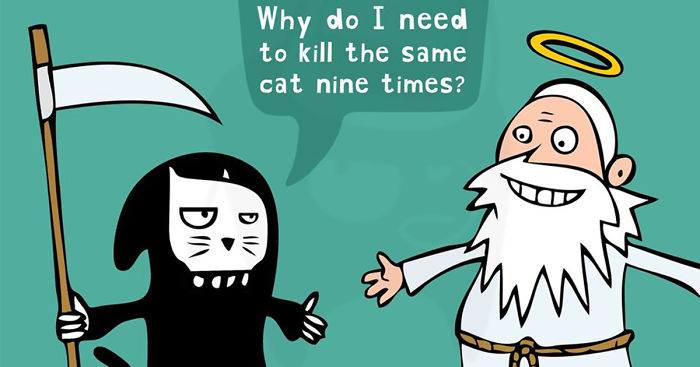 16 Upset Animals And Their Problems