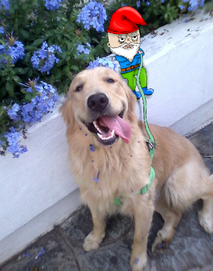 I Add Doodles To People's Instagram Photos (Part 2)