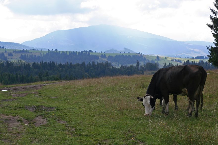 The Carpathians, An Exquisite Place That Will Stun You With Breathtaking Views