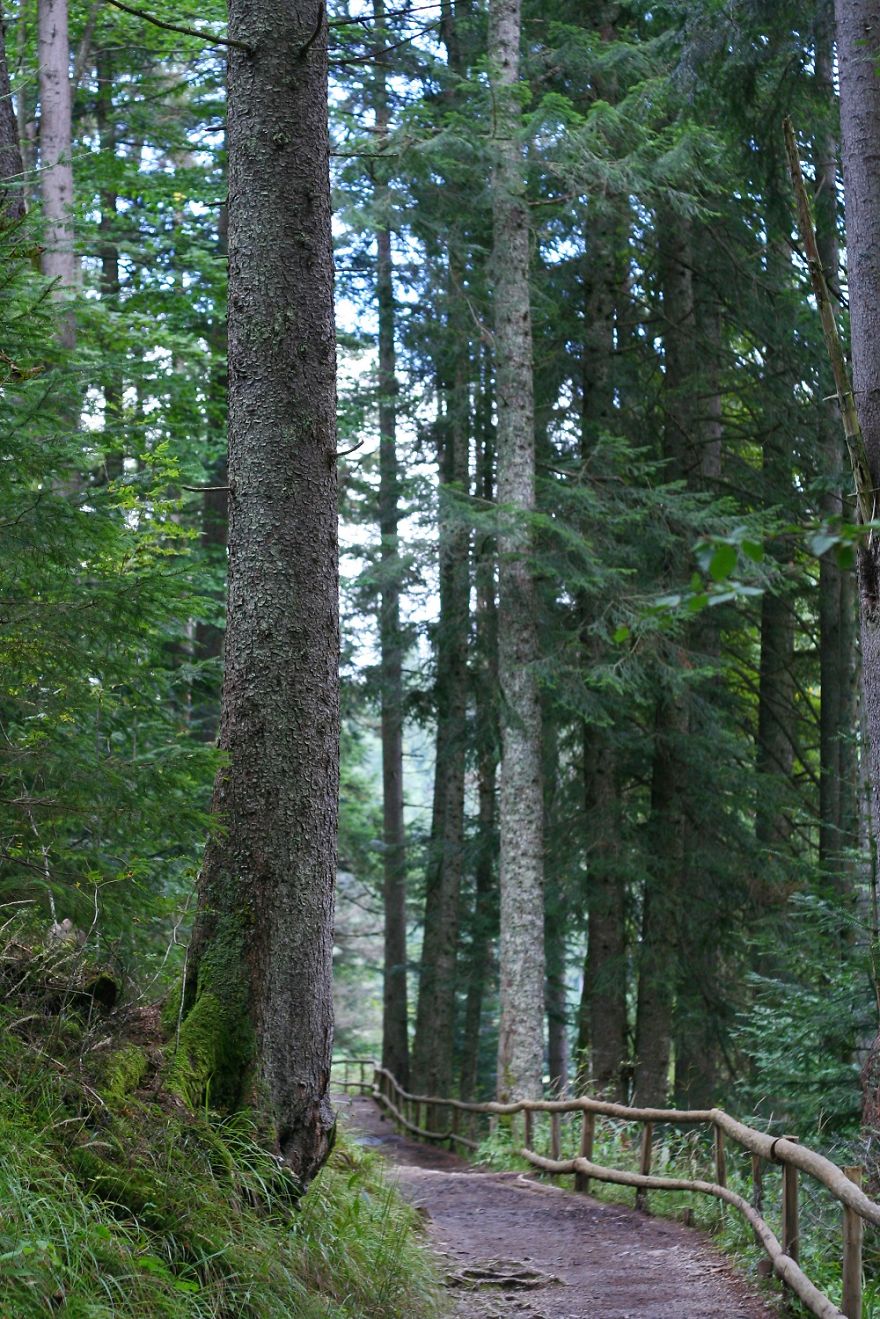 The Carpathians, An Exquisite Place That Will Stun You With Breathtaking Views