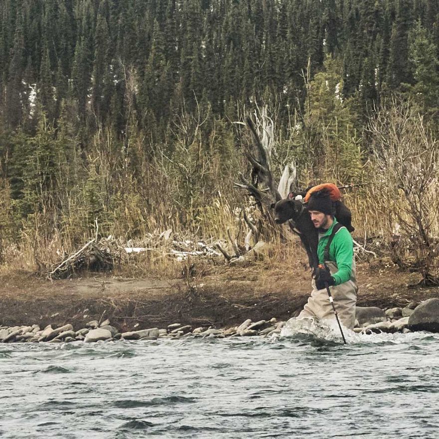 I Live In My Truck With My Dog And Travel Across The Country (Part 2) I Live In My Truck With My Dog And Travel Across The Country (Part 2)