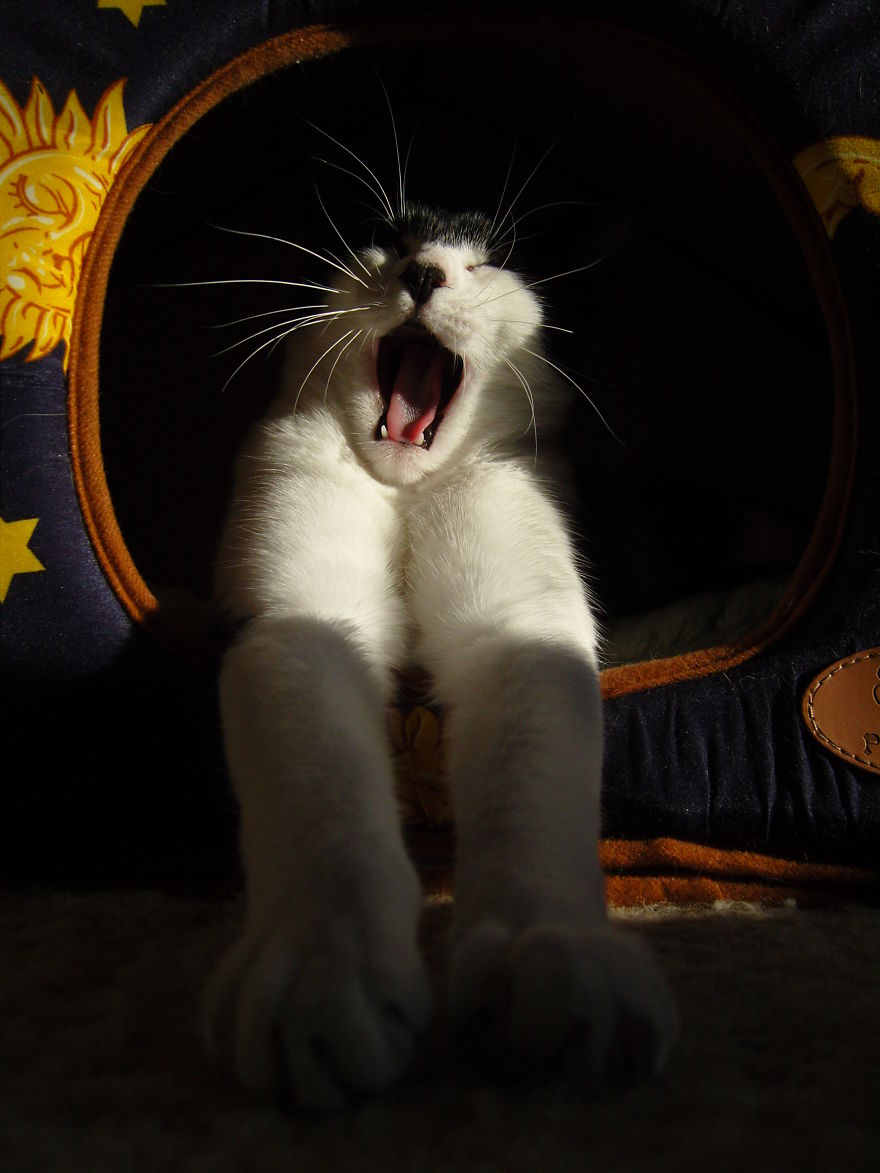 Yawning Morning Smile