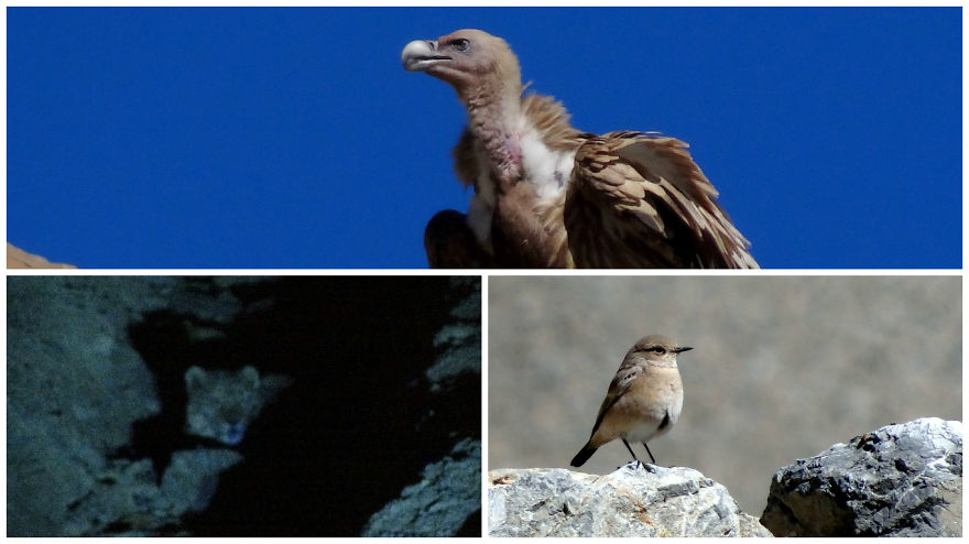 10 Unforgettable Moments From My Trip To The Himalayas