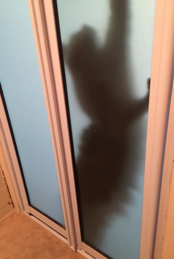 While I Was Dropping Some Friends In The Pool....