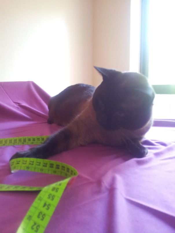 You're Not Measuring It Right - Here, Let Me Show You How To Look Fabulous!