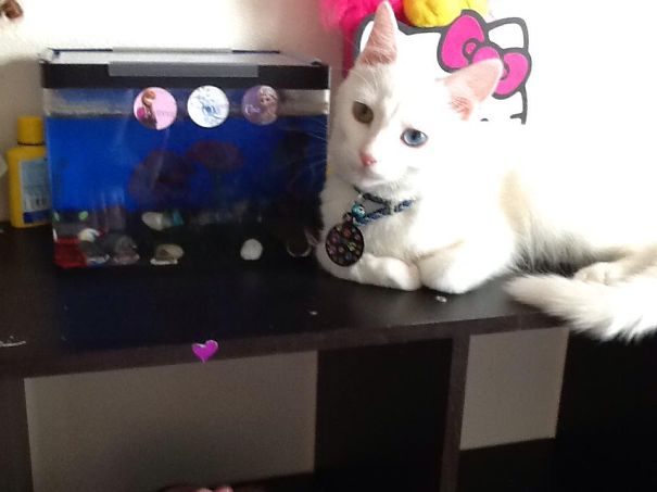 New Adition To Our Home