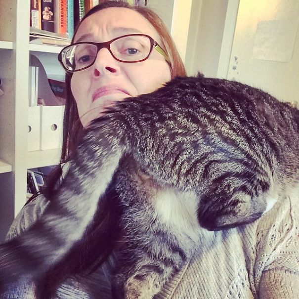 He Decided This Was A Great Place To Hang Out.